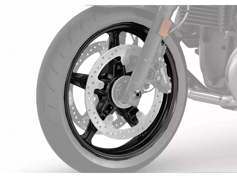 BMW Front cast iron rim (3.5x17) - R Nine T/Pure/Scrambler/Racer