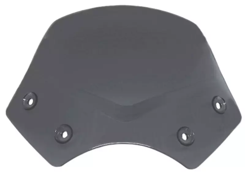 BMW Windscreen Sport Tinted - R1200R (K27) / G650X COUNTRY (K15)