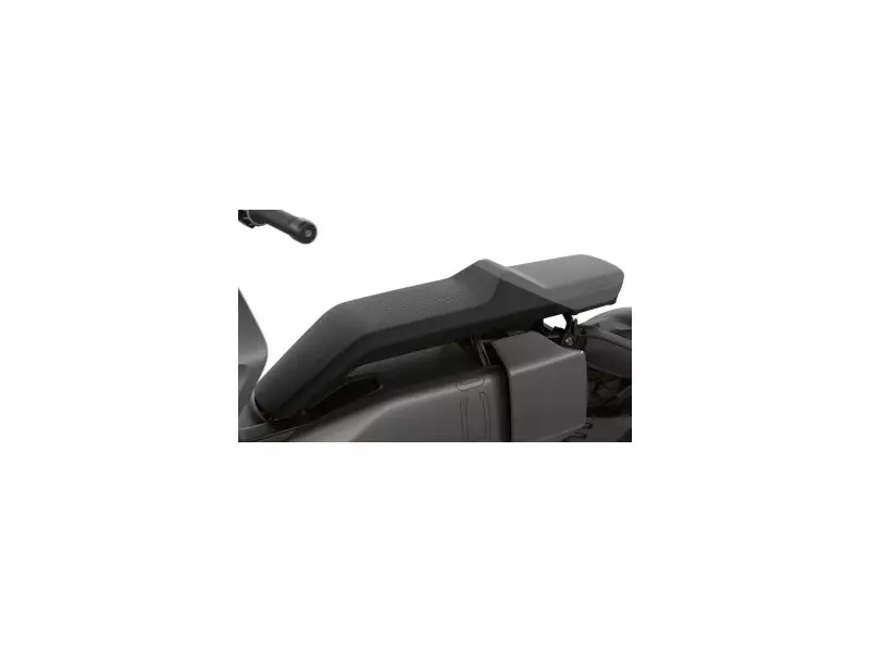 BMW Comfort Seat front Backrest - CE04