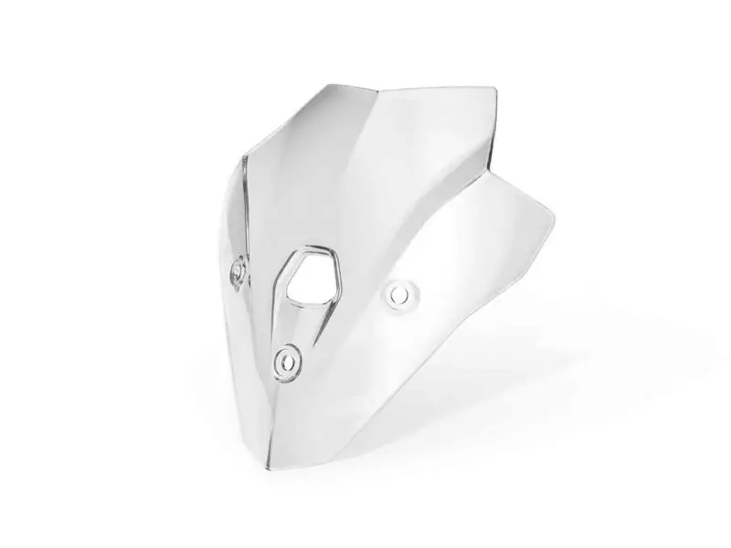 BMW Windscreen High (without holder) - F900R