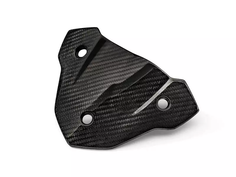 BMW HP Carbon Deflector - S1000R (K47)