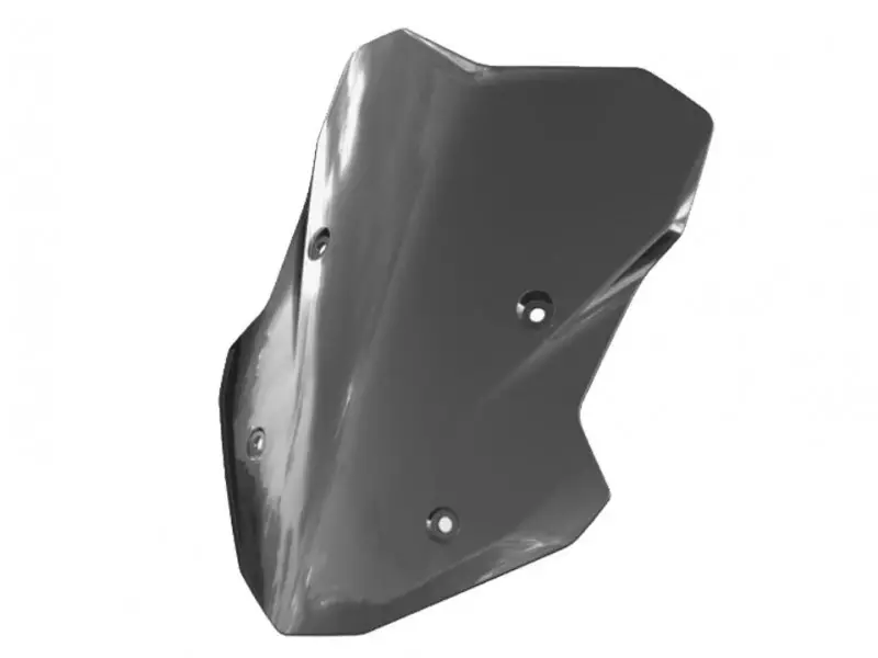 BMW Windscreen Tinted - F900XR