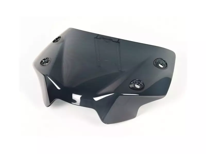 BMW Windscreen Sport Tinted (Only) - R1250R (K53)