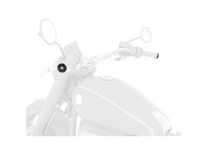 BMW 2-Tone-Black handlebar end set (Roland Sands Design) - R18 K34 / R18 Classic/B/Transcontinental
