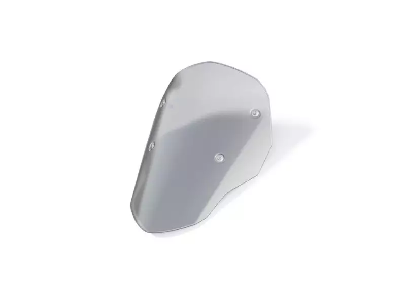 BMW Tinted sports windshield - R1300GS