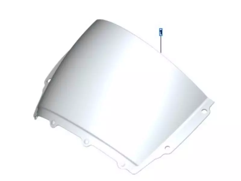 BMW Tinted screen - M1000RR