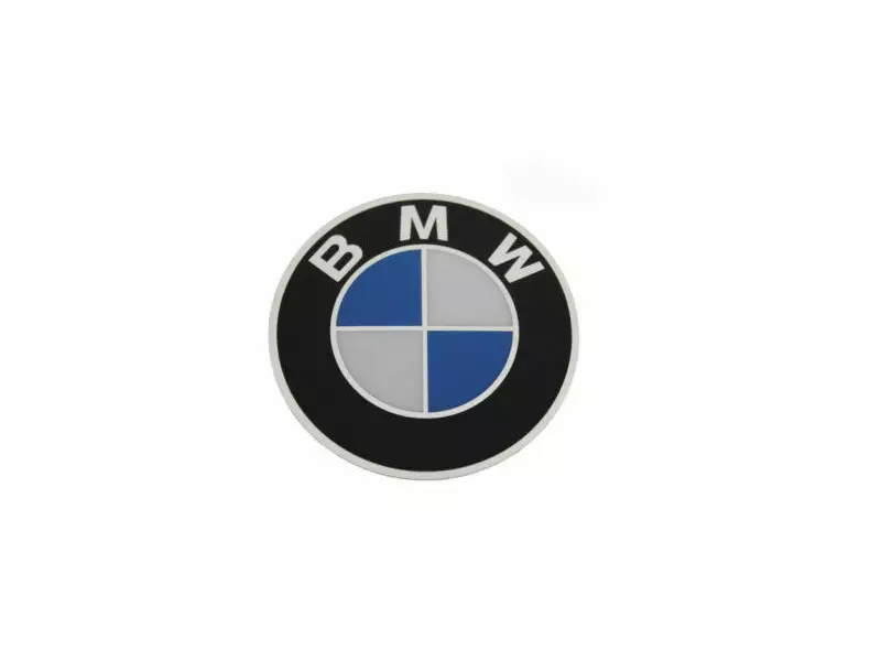 BMW Passenger Grab Handle (With screws and plate) - S1000XR (K69)