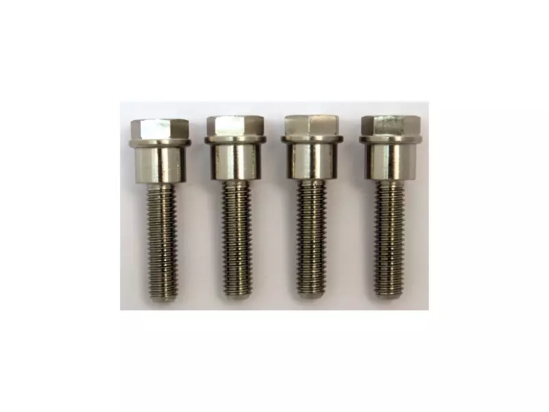 BMW Screw (M8x30) (single)