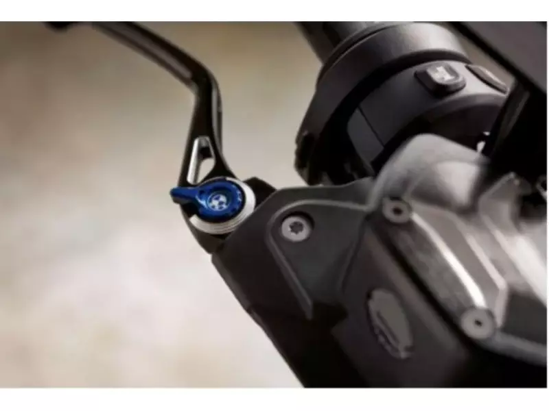 BMW Brake Lever HP - R1250GS (K50) / R1250GS Adventure (K51) / R1250R (K53) / R1250RS (K54) / R1250RT (K52)