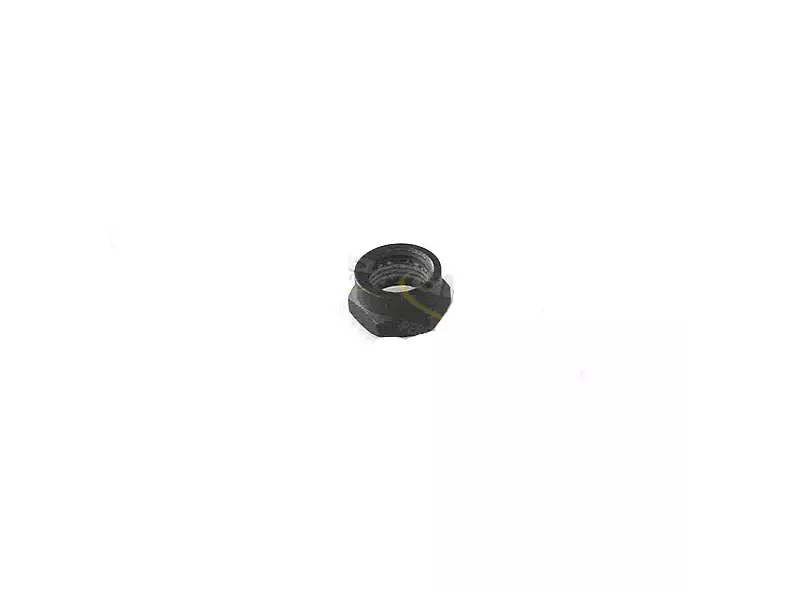 BMW Nut