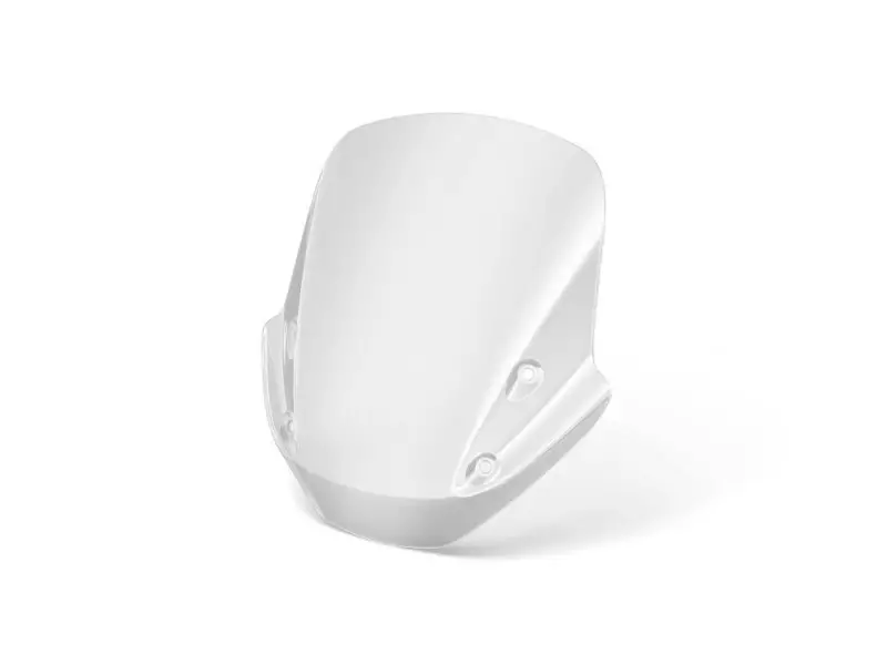 BMW Windscreen High (Windscreen Only) - R1250R (K53)