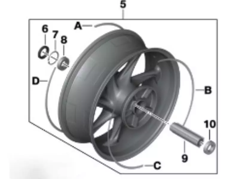 BMW Rear carbon rim (6.0X17) - M1000RR