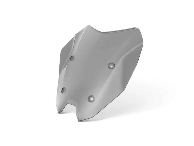 BMW tinted windshield - R1250RS (K54)