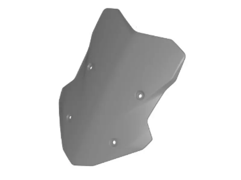 BMW Windscreen Tinted - F900XR