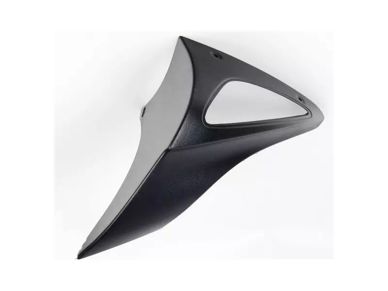 BMW Right Hand protector (Black) Genuine - R1100S 259