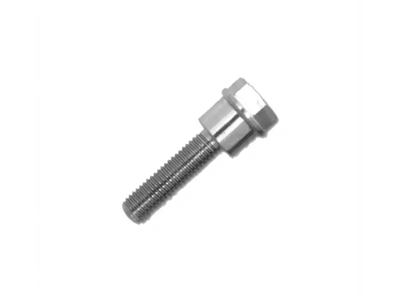 BMW Screw (M8x30) (single)