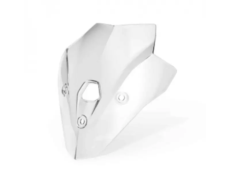 BMW Windscreen High (without holder) - F900R