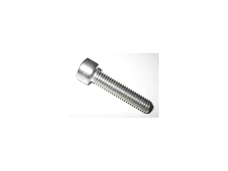 BMW Isa screw M8X35 A2-70
