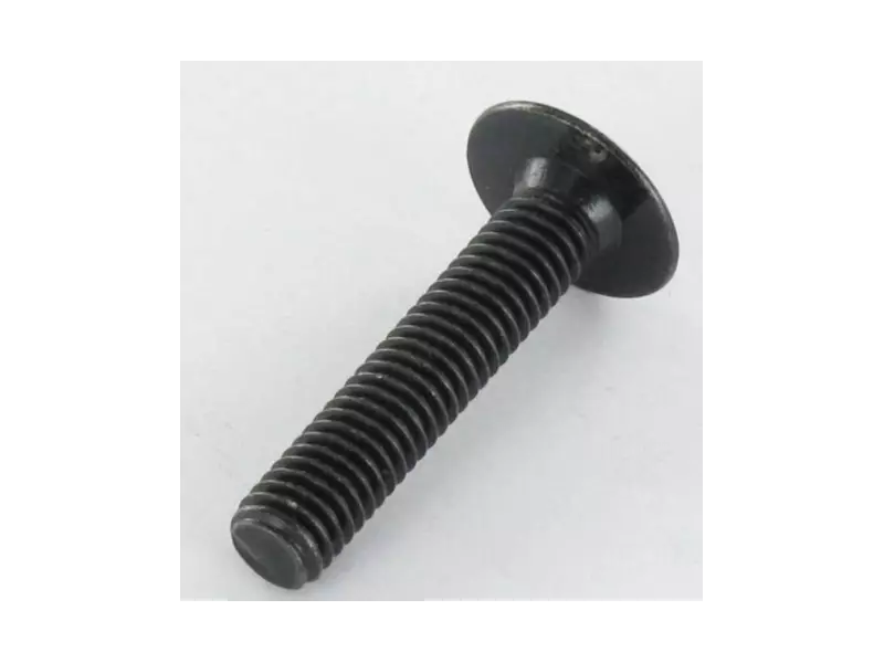 BMW Oval head screw original (M6X35 MK)