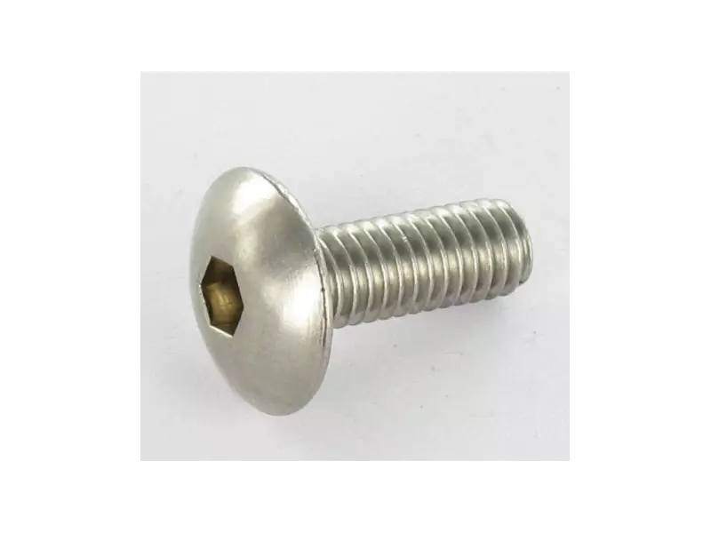 BMW Oval head screw original (K50X12)