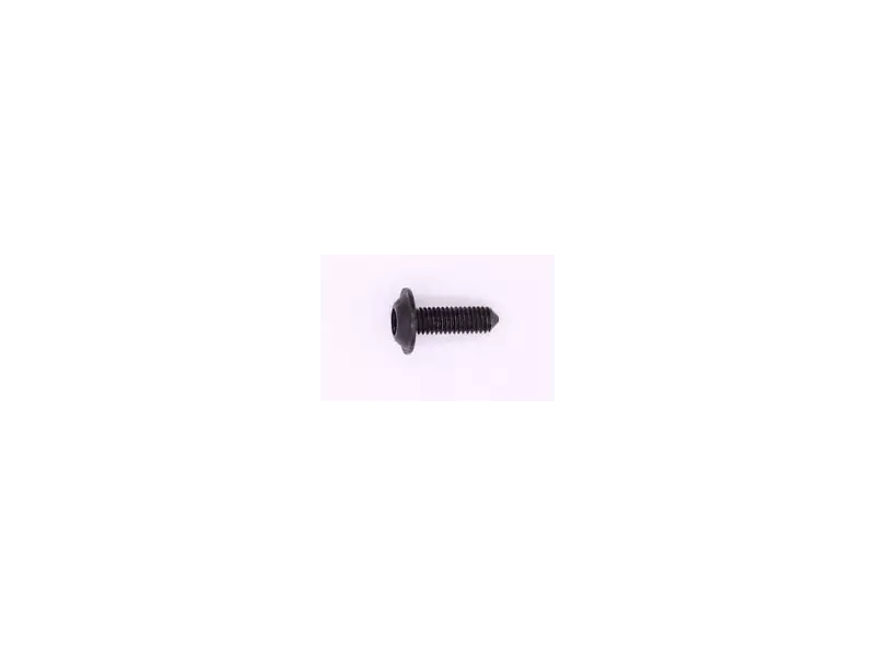 BMW flanged head screw (M5X16sw)