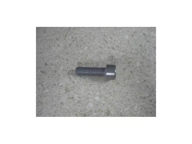 BMW Isa Screw M8X25-8.8-ZNNIV