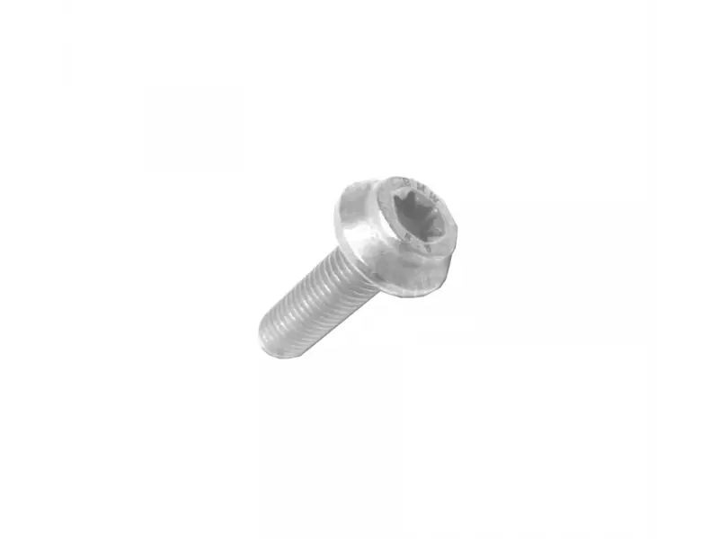 BMW body screw without base (M5x16-A2-70)