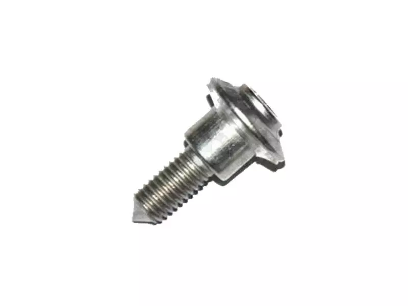 BMW Collar Carriage Screw (M5x17.5-A2-70)