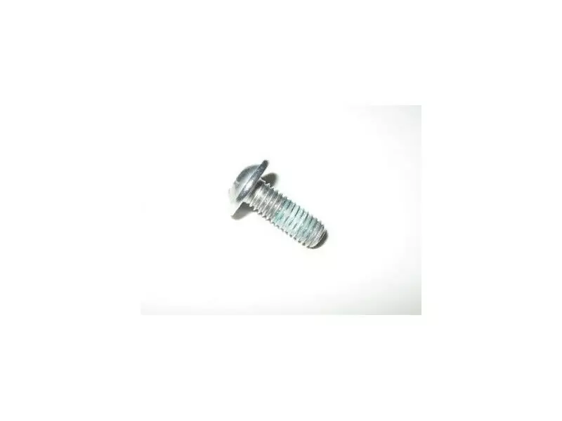 BMW Oval head screw