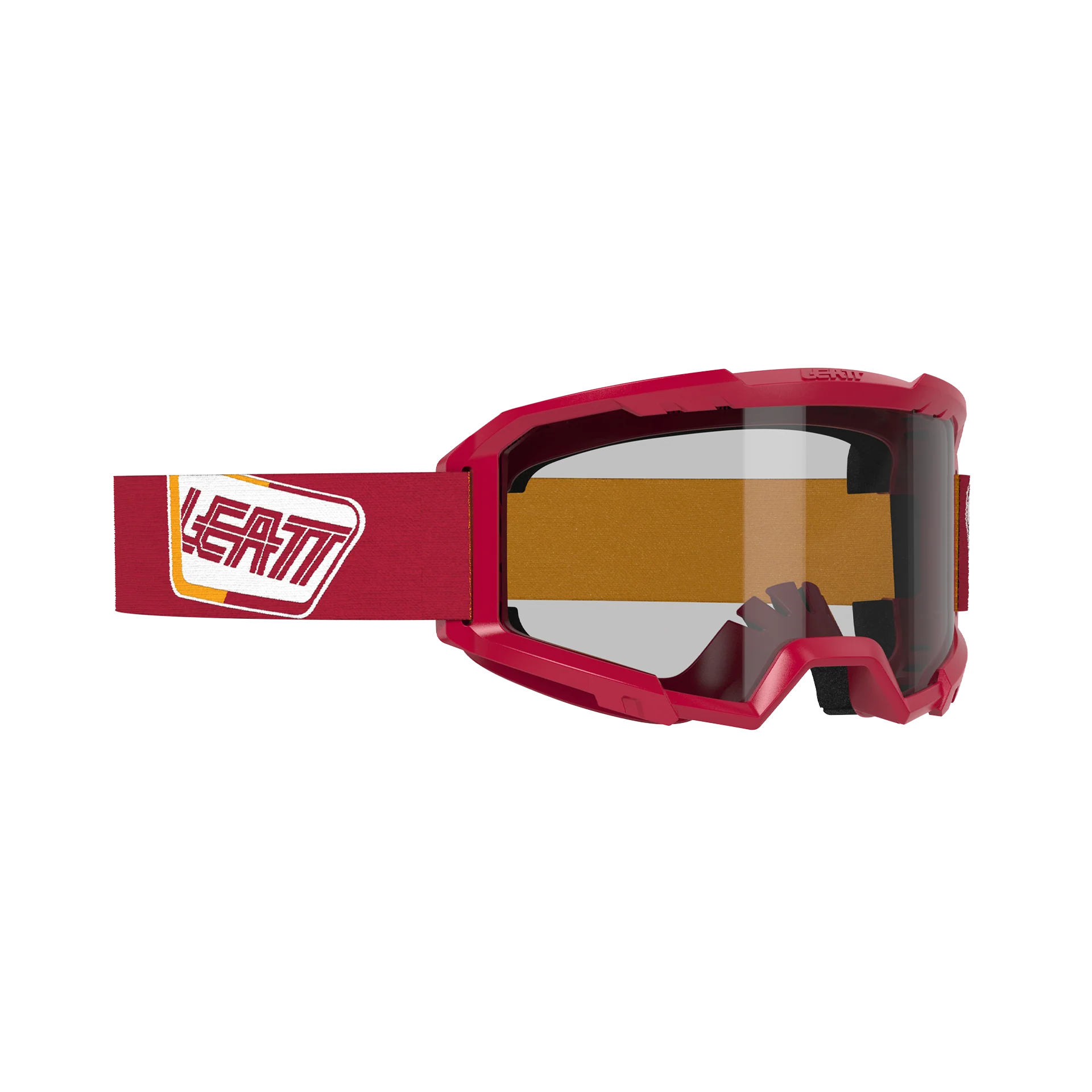 Goggle Vizion 2.5
