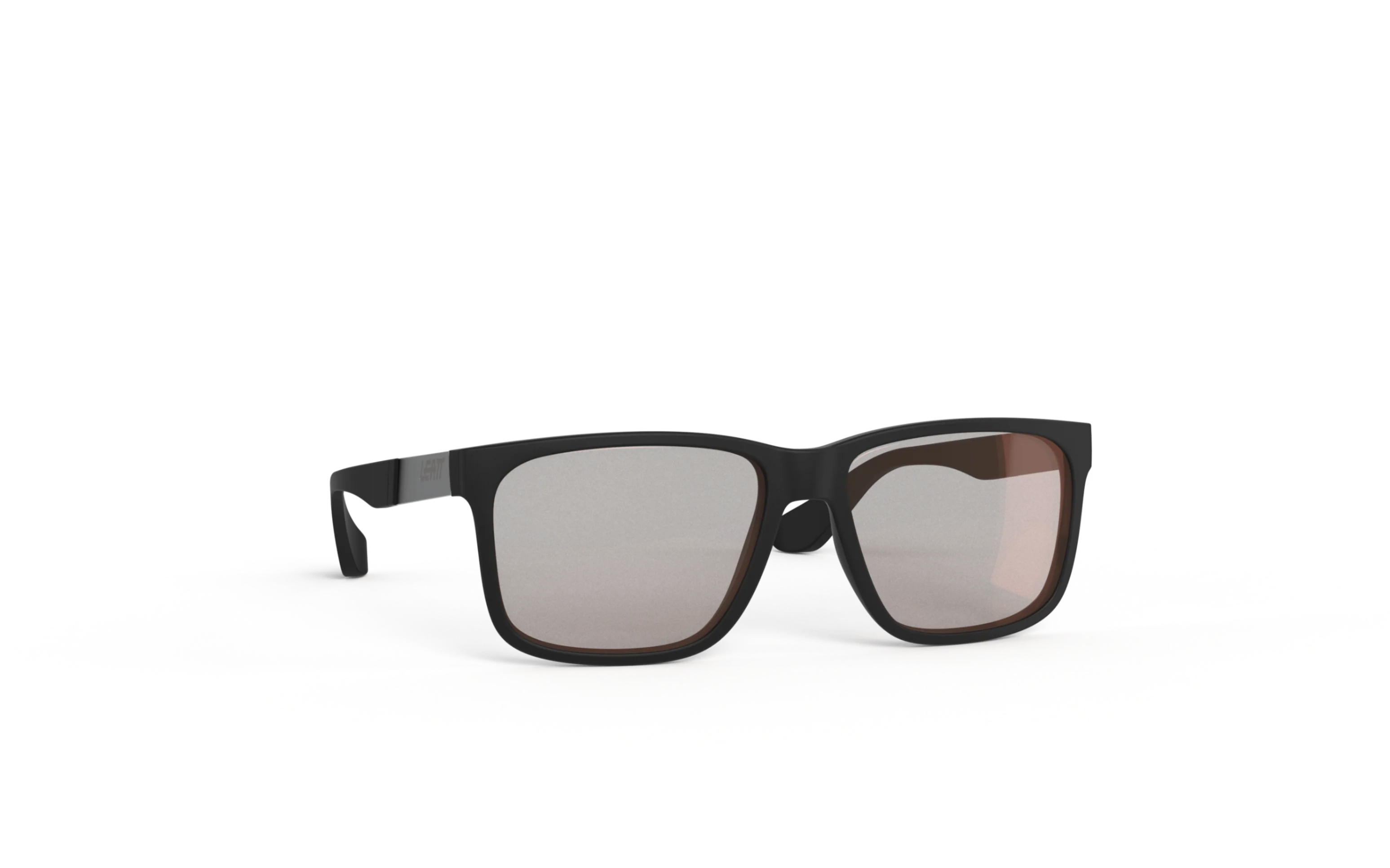 Sunglasses TheViz Sierra