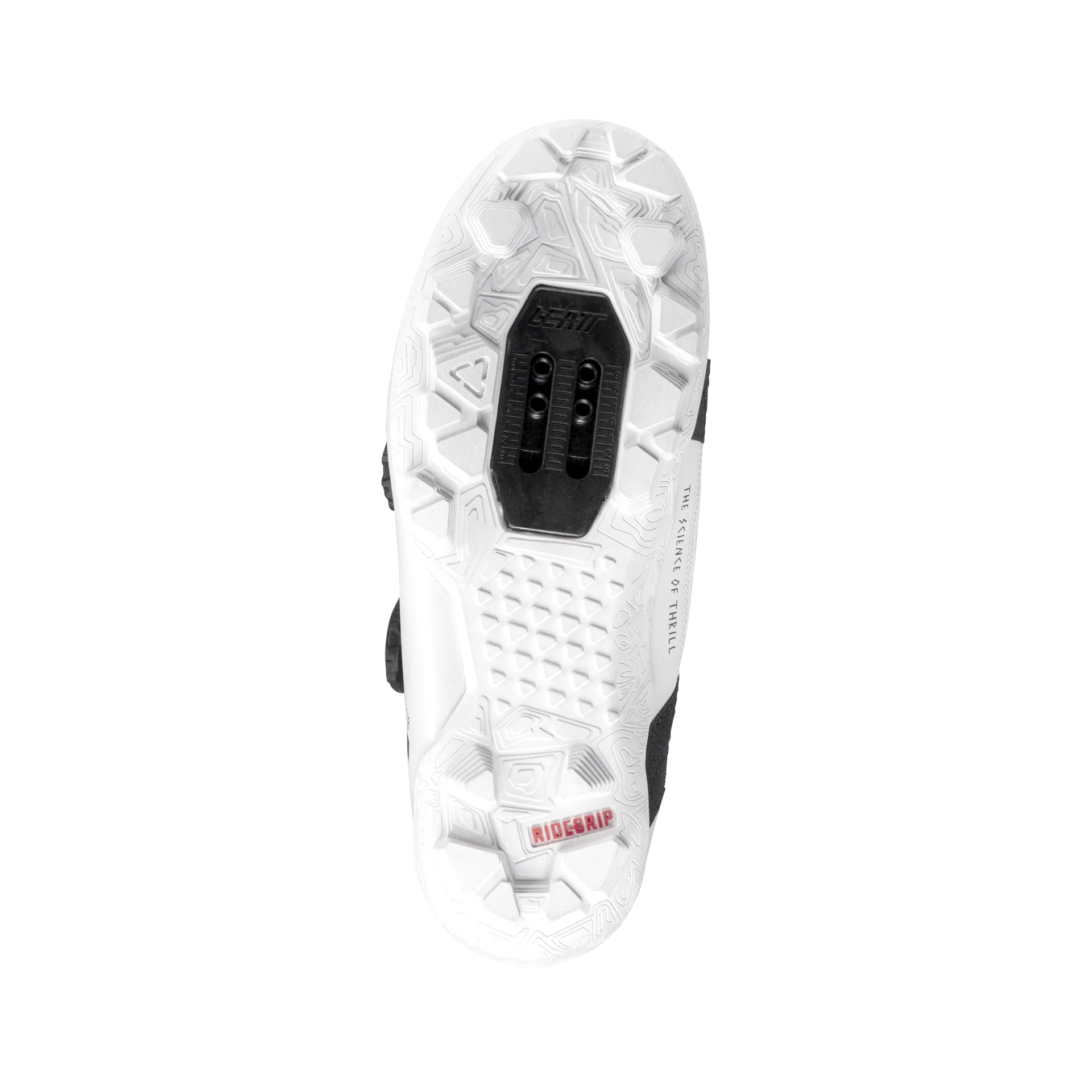 Shoes ProClip 8.0 Race - Women