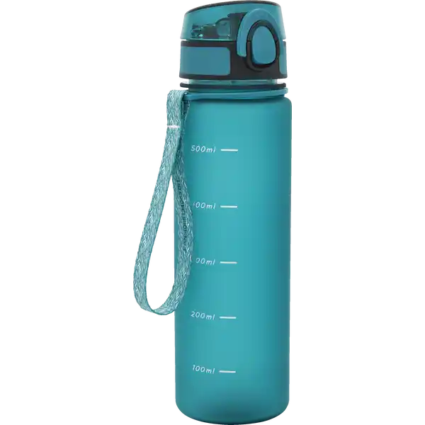 Sport-Trinkflasche anthraz. / türkis 600ml