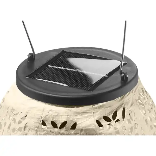 Premium-Solar-Lampion 20 x 40cm, champagne