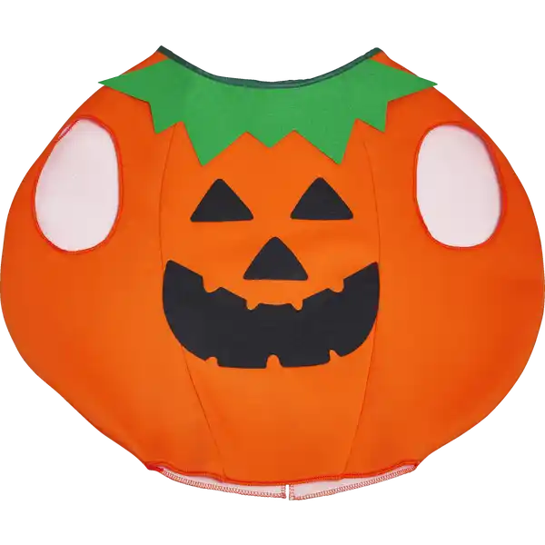 Halloween Kostüm Kürbis