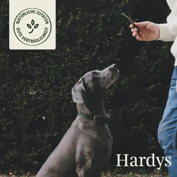 Pur Trockenfleischstreifen Ente