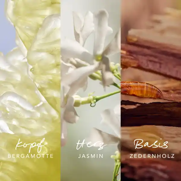 Inspired Nature Woman,  EdP 30 ml