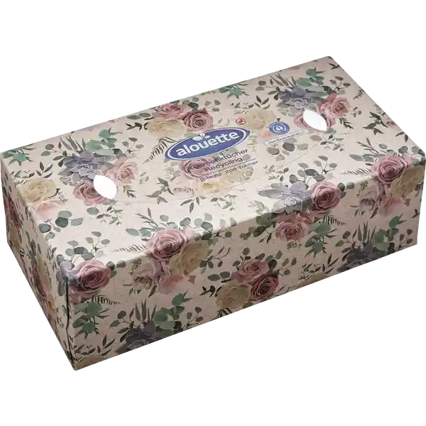 Kosmetiktücher Recycling