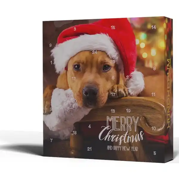 Adventskalender Hundherum 2024