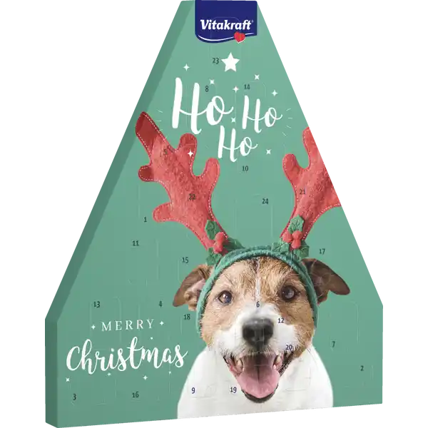 Adventskalender Hund 2024