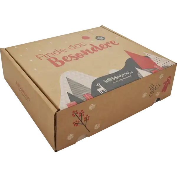 *EXKLUSIV* Rossmann DIY Adventskalender 2024