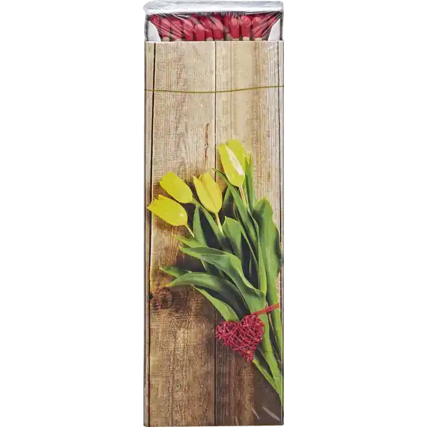 STEVENSON ZÜNDHÖLZER LANG