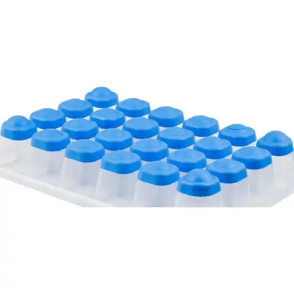 CLIP & CLOSE Frischhaltedosen Eiswürfelform