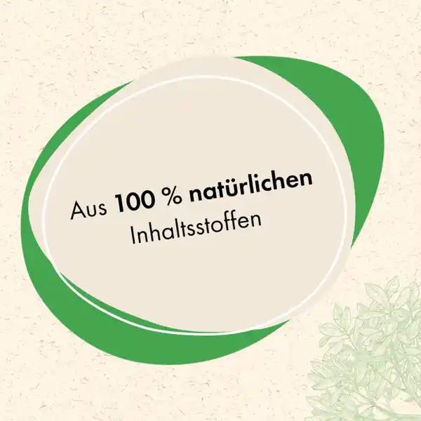 Spülmittel Citrus Lavendel