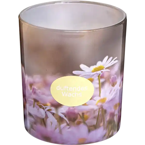 Sleeveglas Gänseblümchen