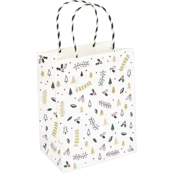 Geschenktüte Kraftpapier