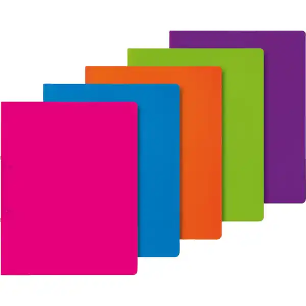 Fact!pp Ringbuch A4, 16mm, sortiert