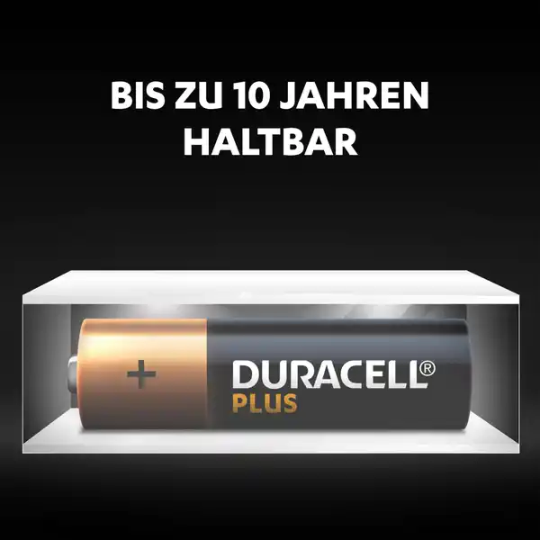 Plus AA Alkaline-Batterien