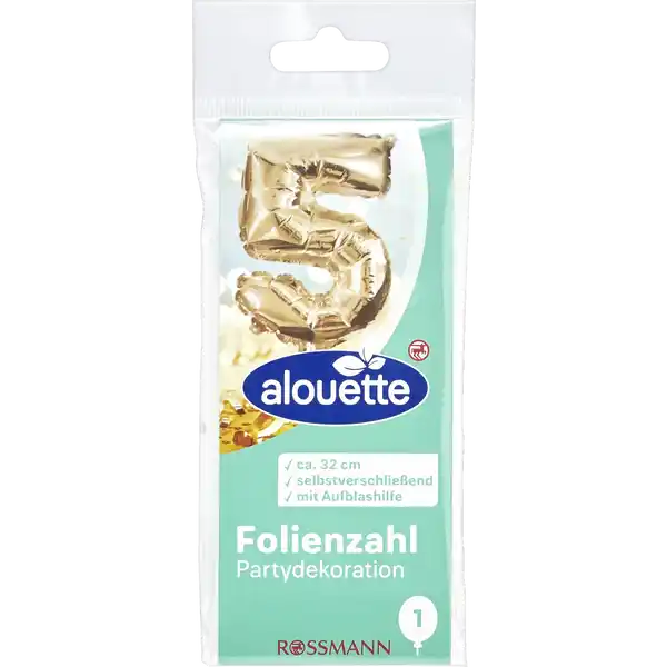 Folienzahl 5