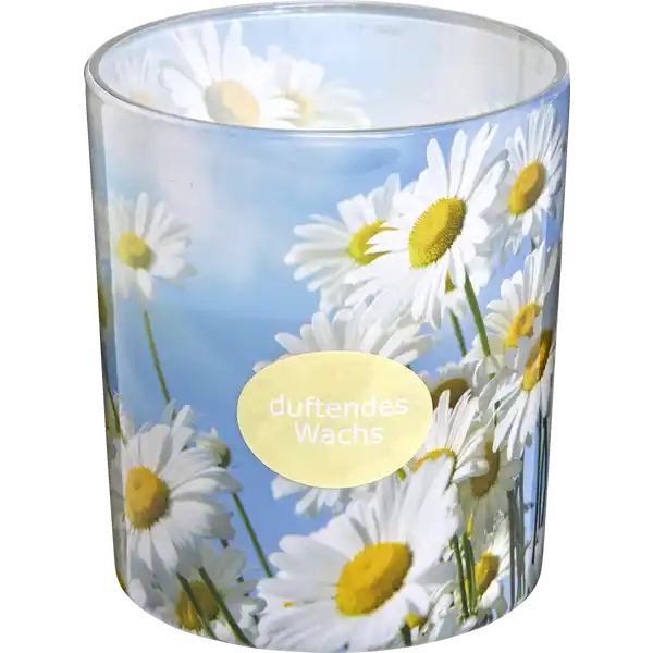 Sleeveglas Gänseblümchen